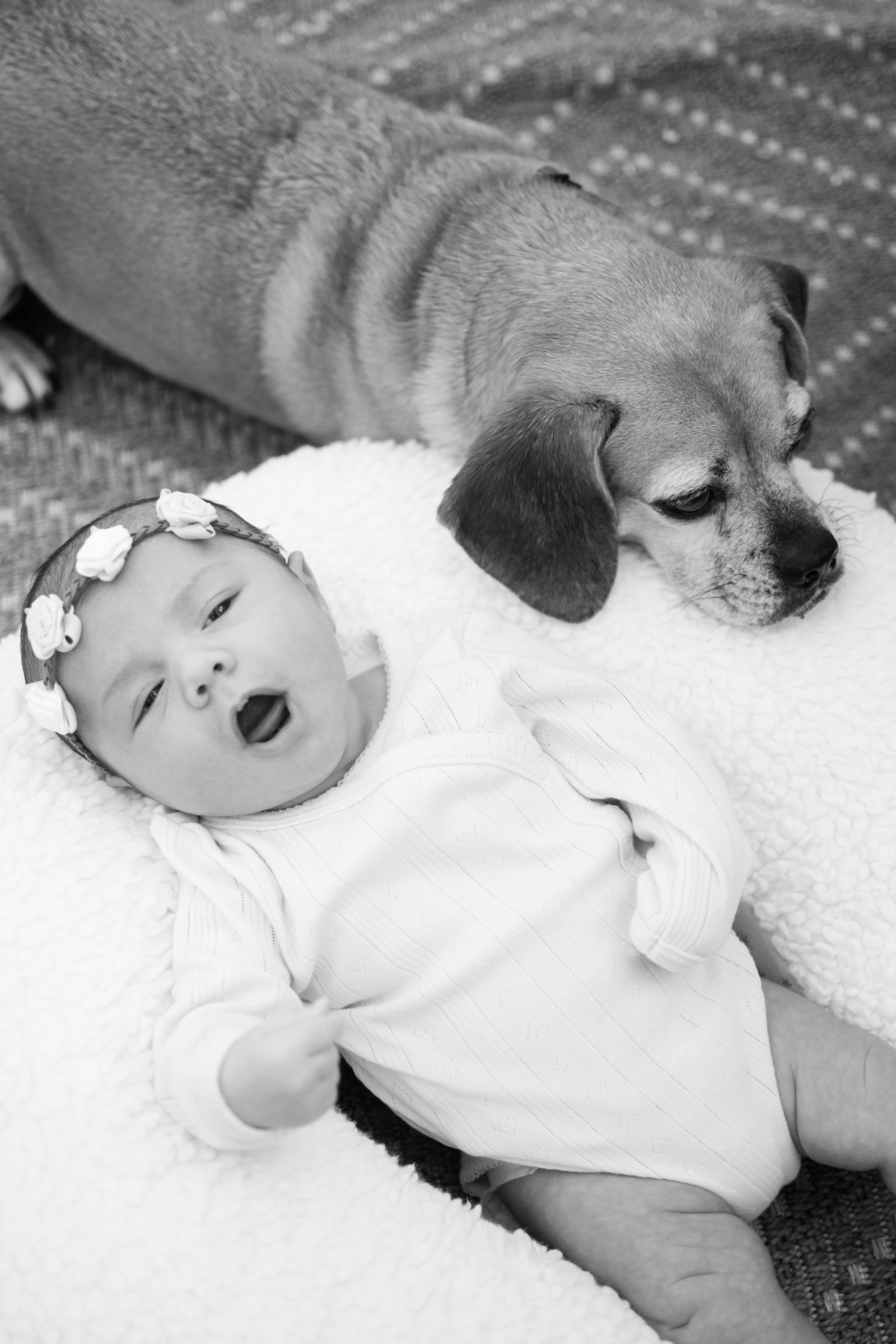 dog cuddling newborn girl floral crown Windermere Florida