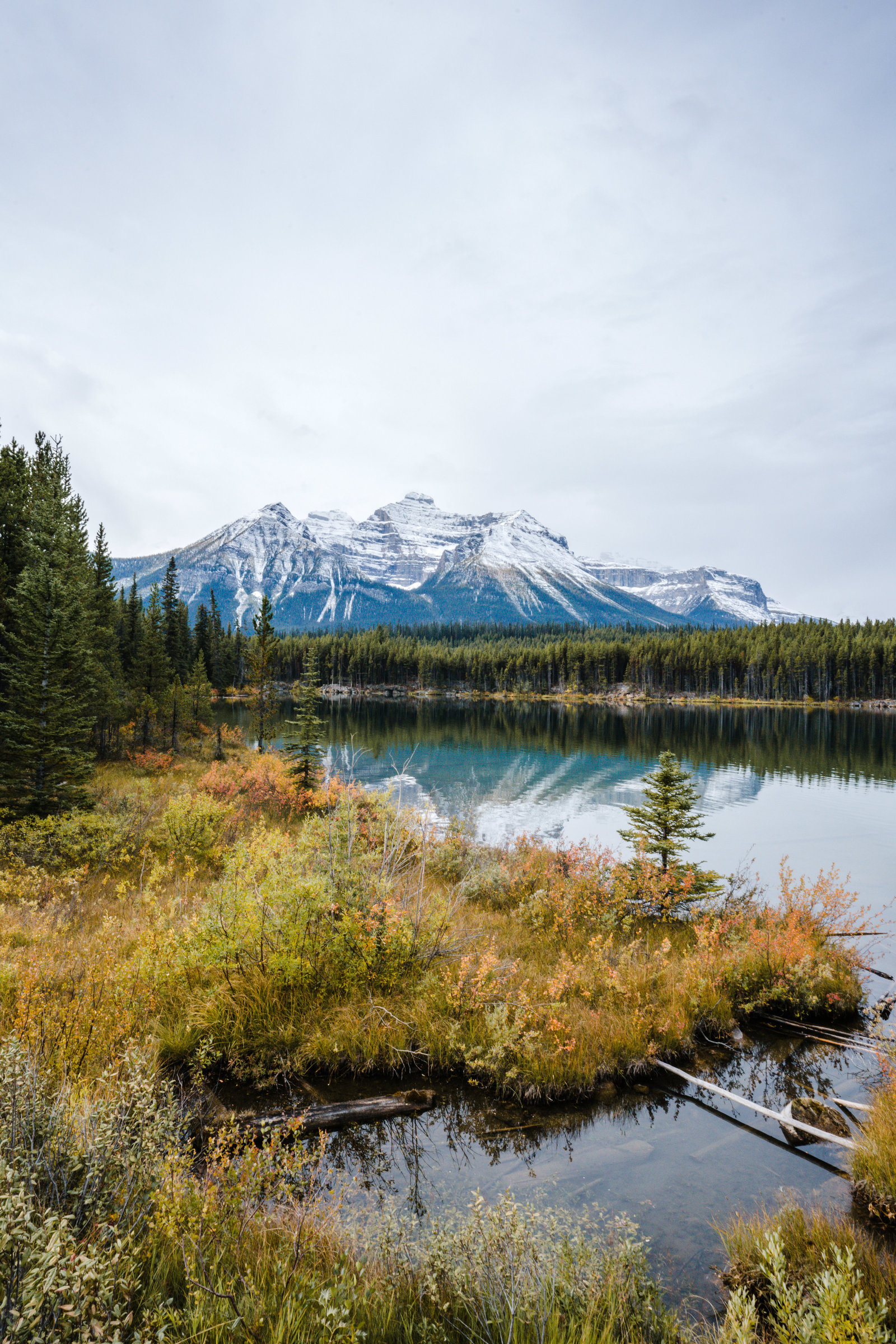 Banff_Jasper_National_Park_Sasha_Reiko_Photography-39