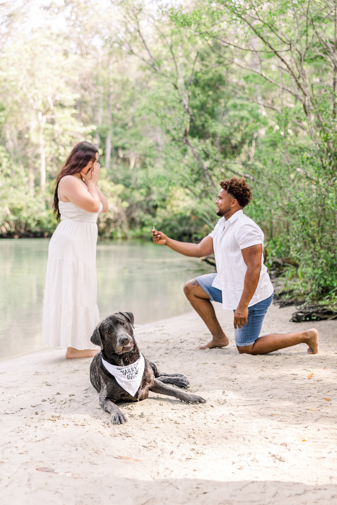 A man proposes to a woman on a small beach while a dog looks at the camera
