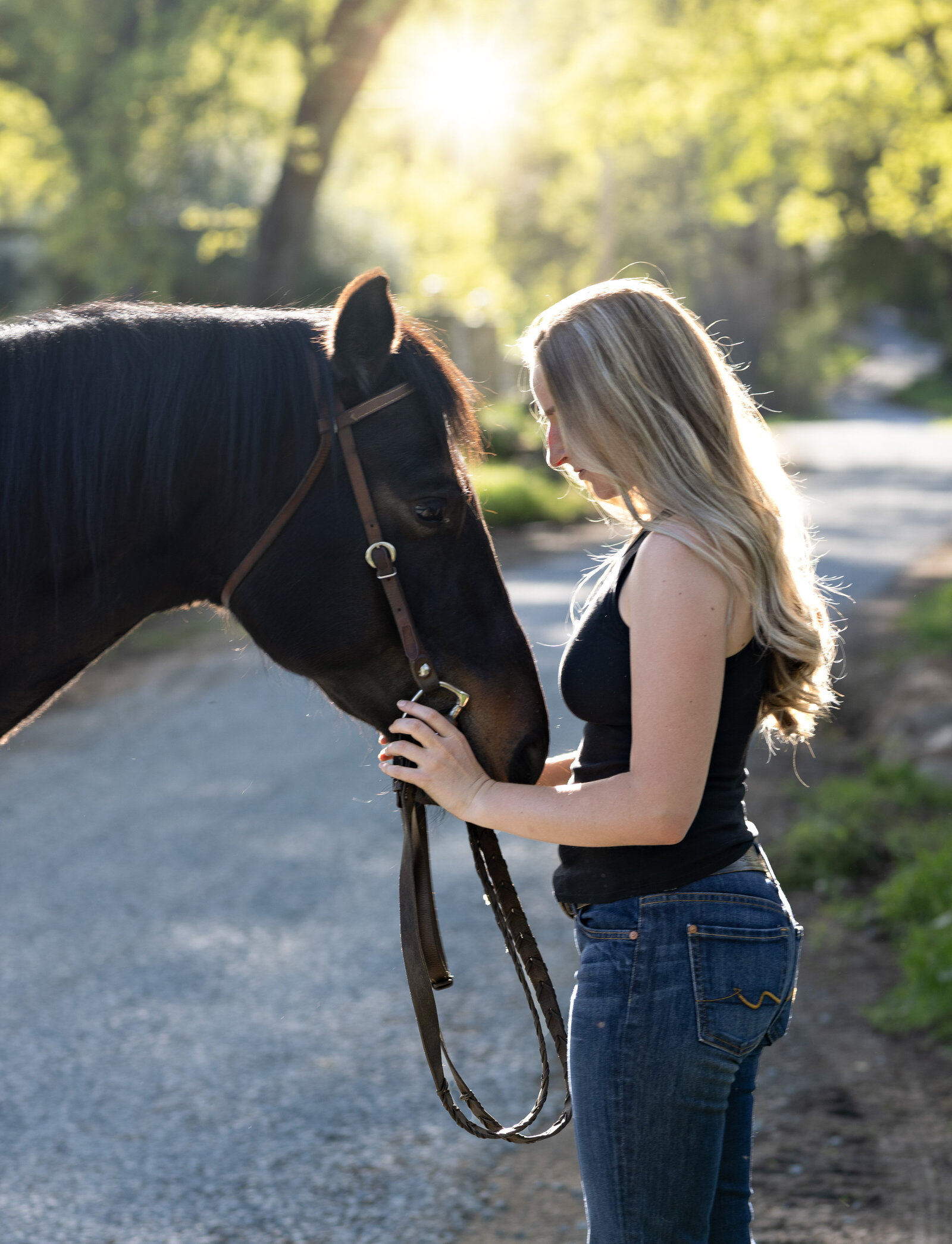 Northern California Equine Portraits