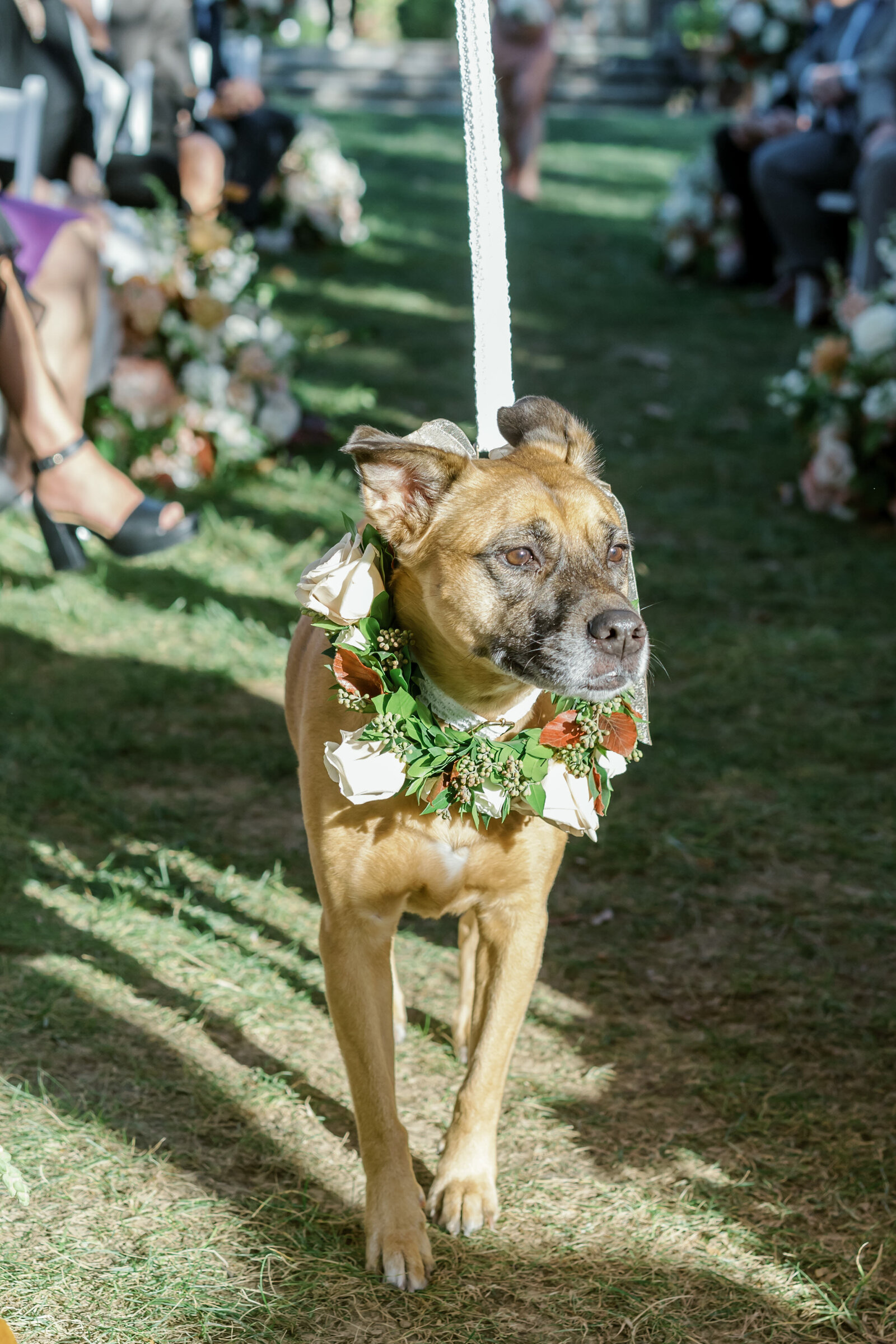 Megan Noll  LeDonne - Ceremony-108