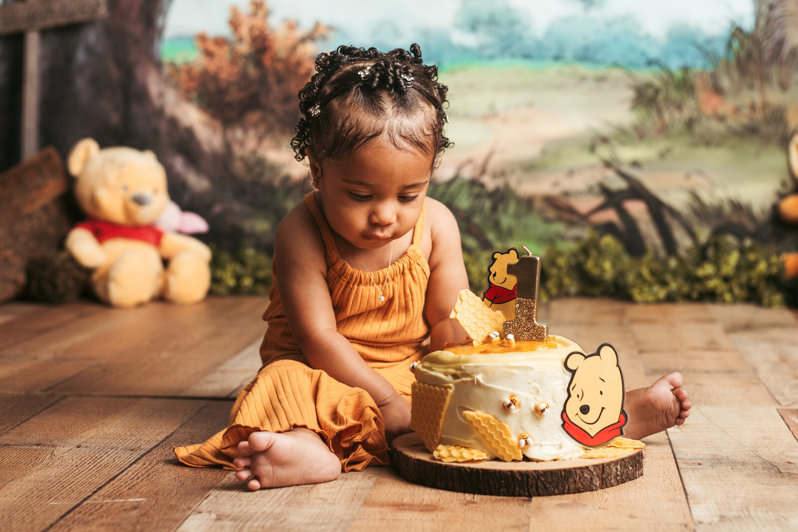 Martina Newport Photography - Michiah Risby - Emory's Winnie the Pooh cake smash-44