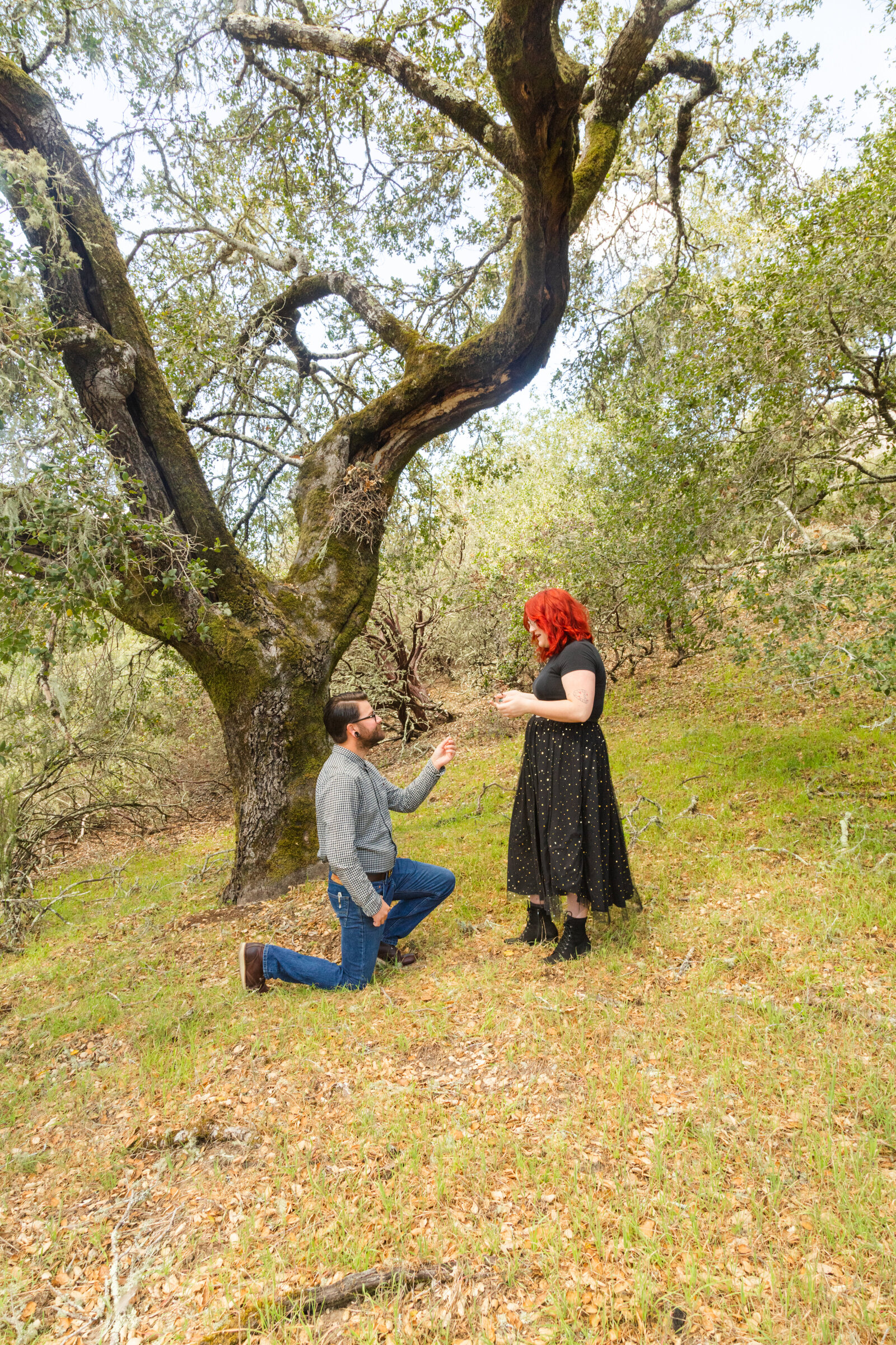 An tattooed engaged couple poses for photos in a redwood forest in Santa Cruz, Ca.