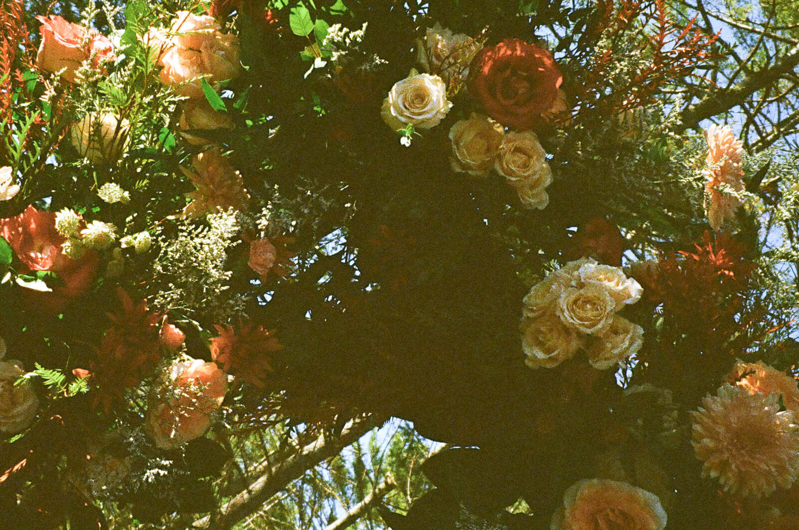 FILM-000565330011