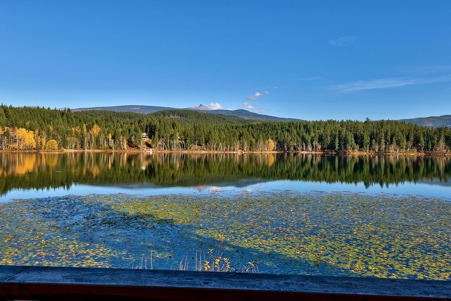 Moose-Cabin-Lake-Front