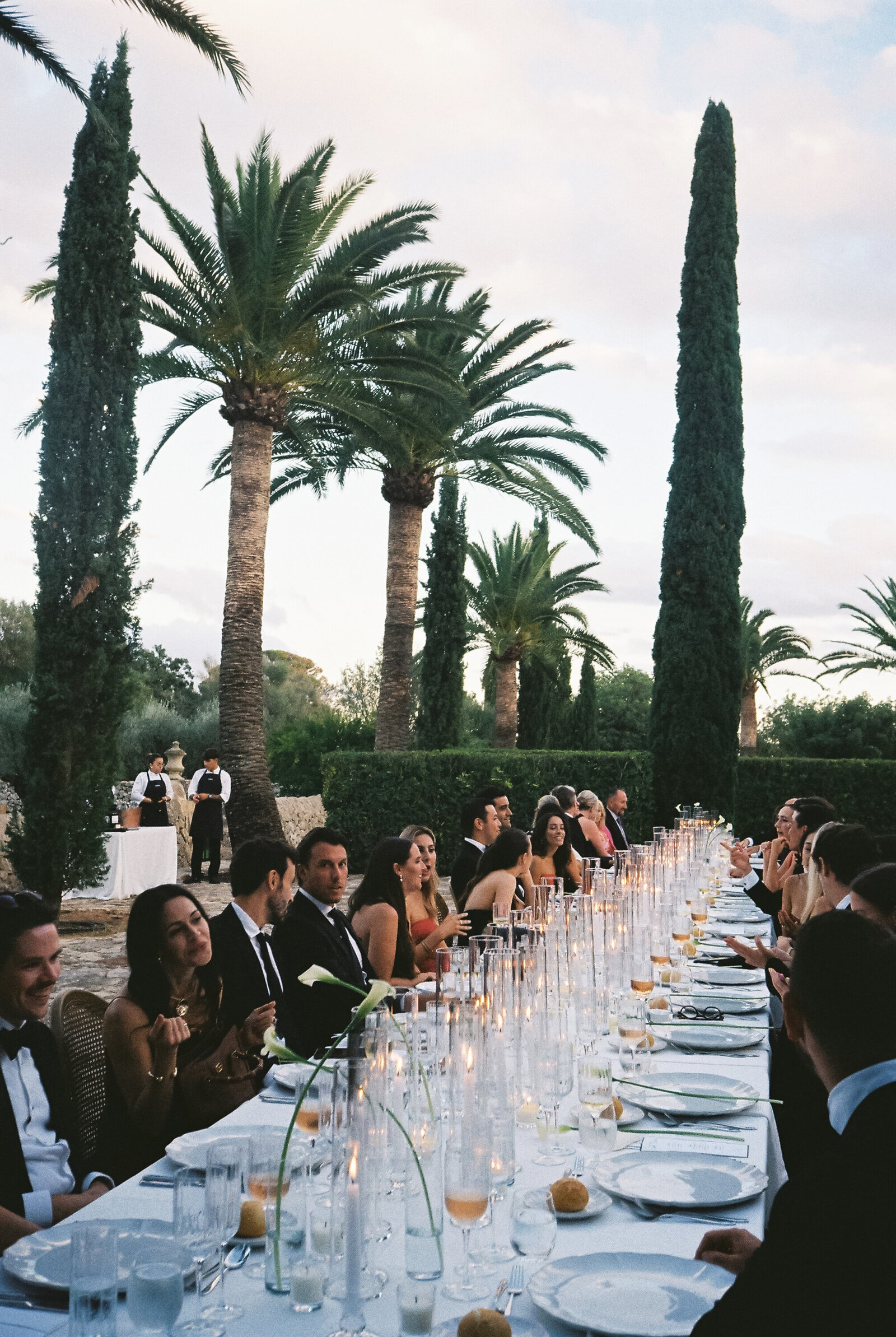 samandlarissa_SA_onfilm2