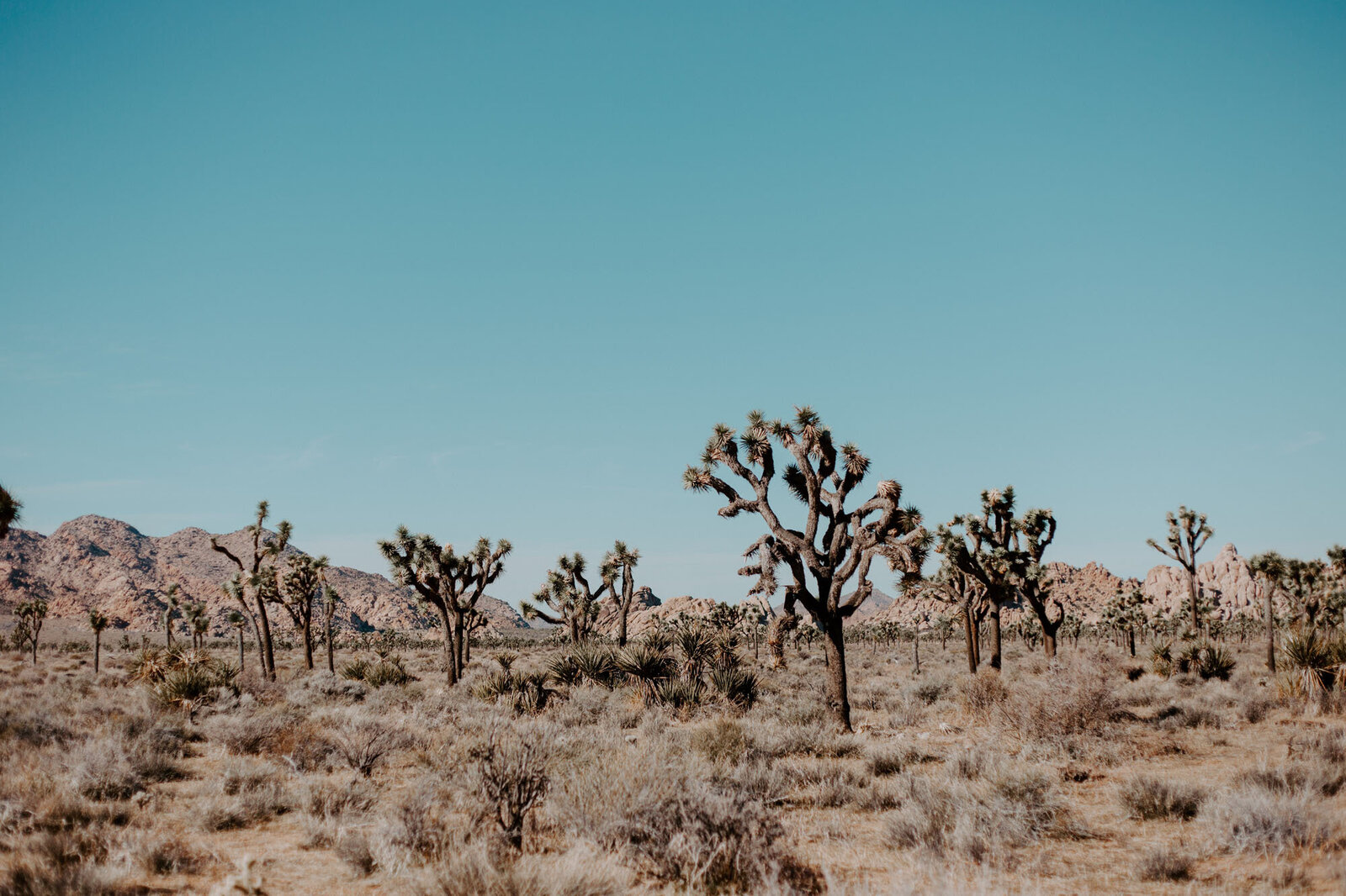 austin-spencer-4F8412P2GYc-unsplash (1)