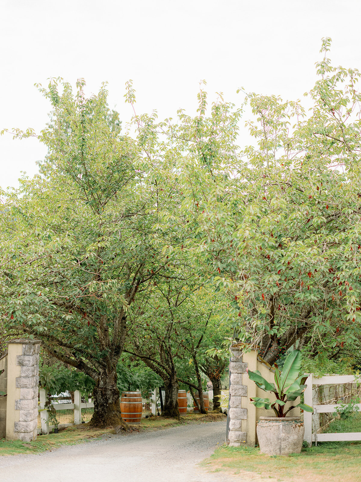 chateau-lille-woodinville-weddingchateaulille_woodinvillewedding-D-E-3