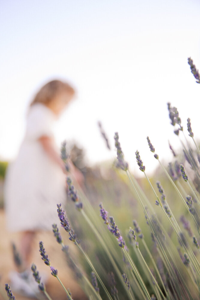 Brianna-Lavender - BLOG-8