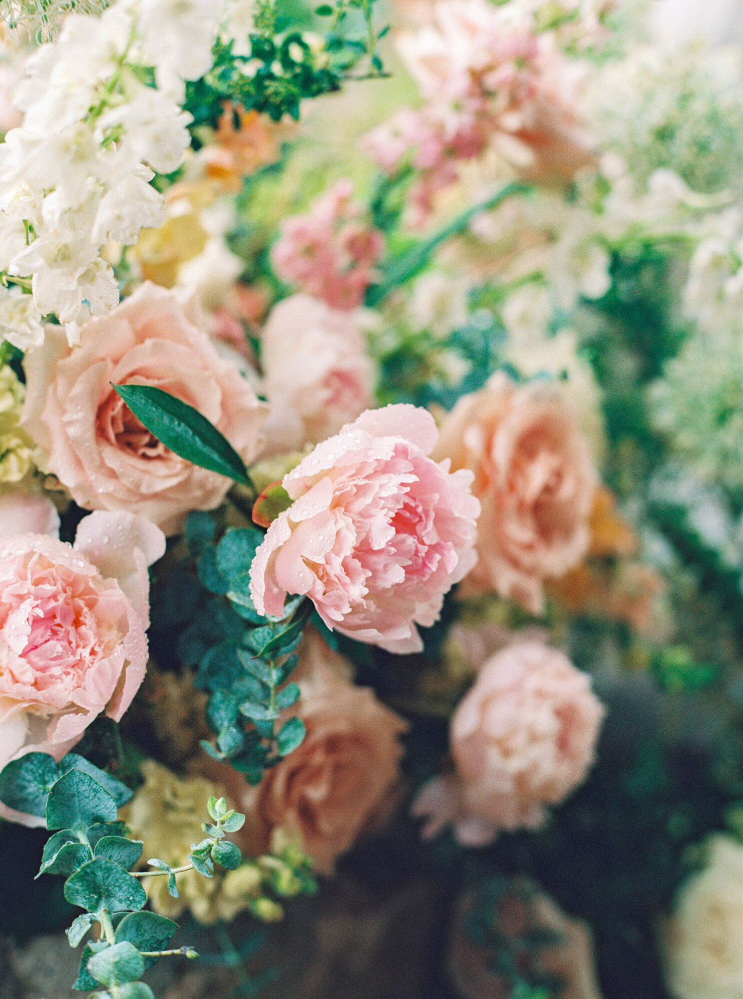 Bishops-Lodge-Santa-Fe-New-Mexico-Wedding-Coryn-Kiefer-Photography-54