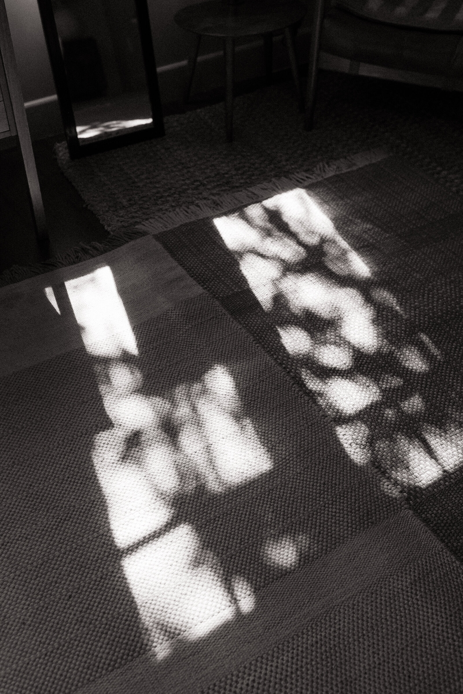 Detail photo of shadows through window at intimate ceremony by best Northern California wedding photographer, Erica Rochelle