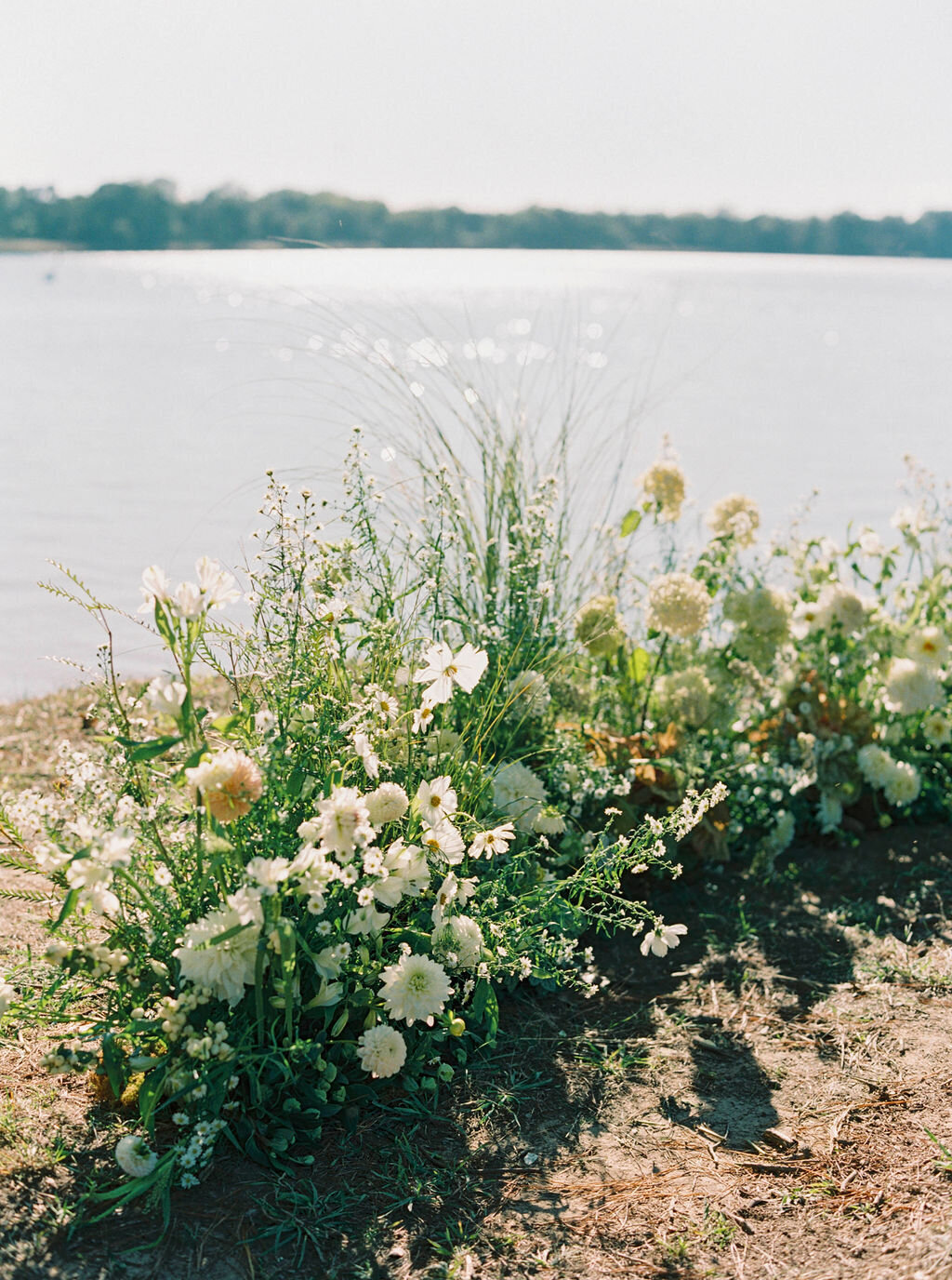 92Kate Campbell Floral Brittland waterfront tented wedding by Molly McManus photo