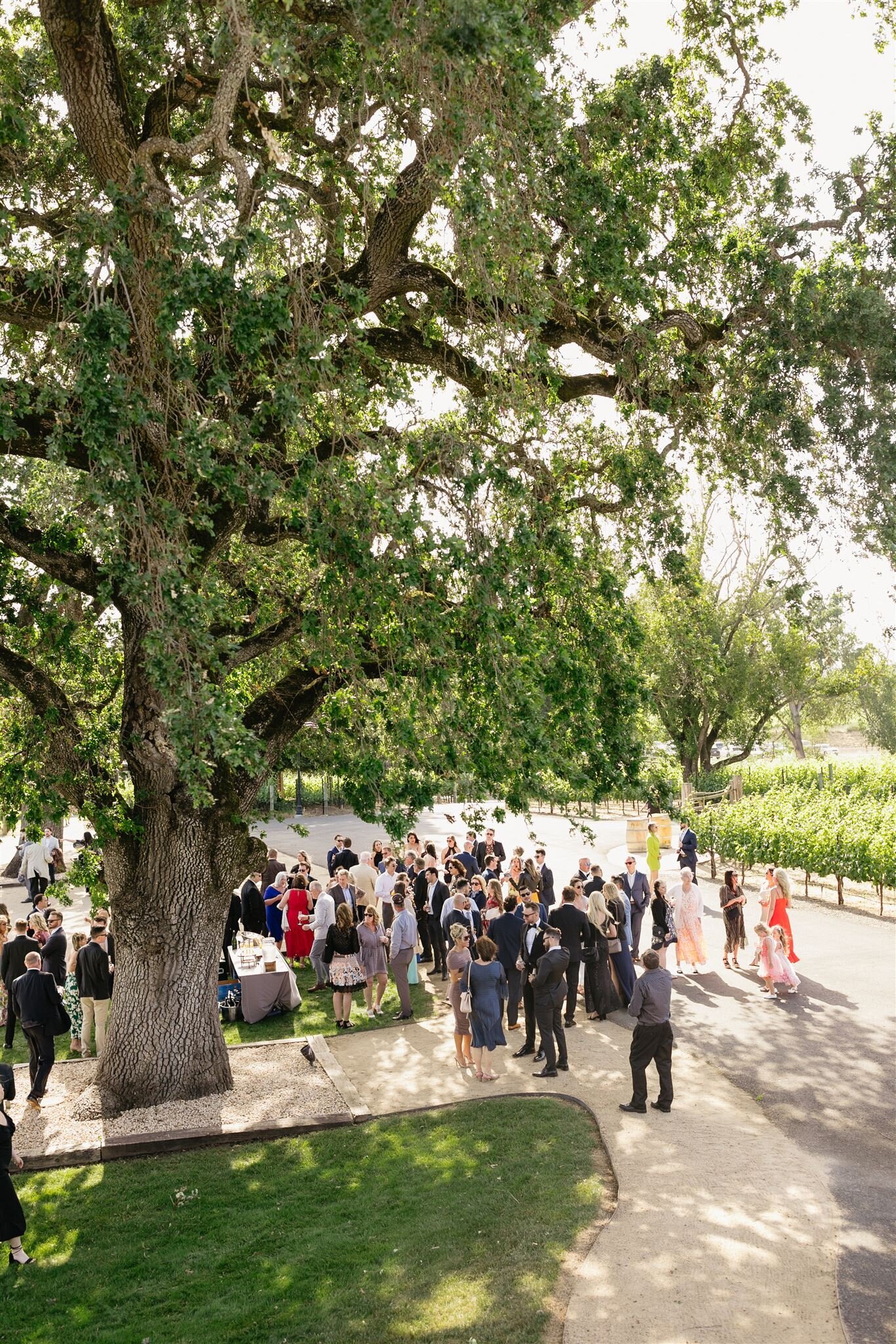 5.18.24_jen_cj_wedding_melissaatle-477_websize