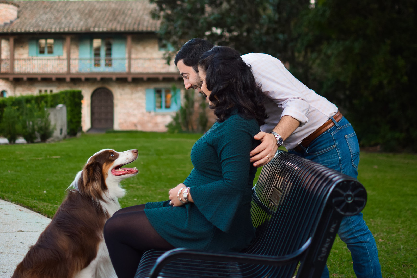 Australian Shepherd Casa Feliz Maternity Winter Park Florida