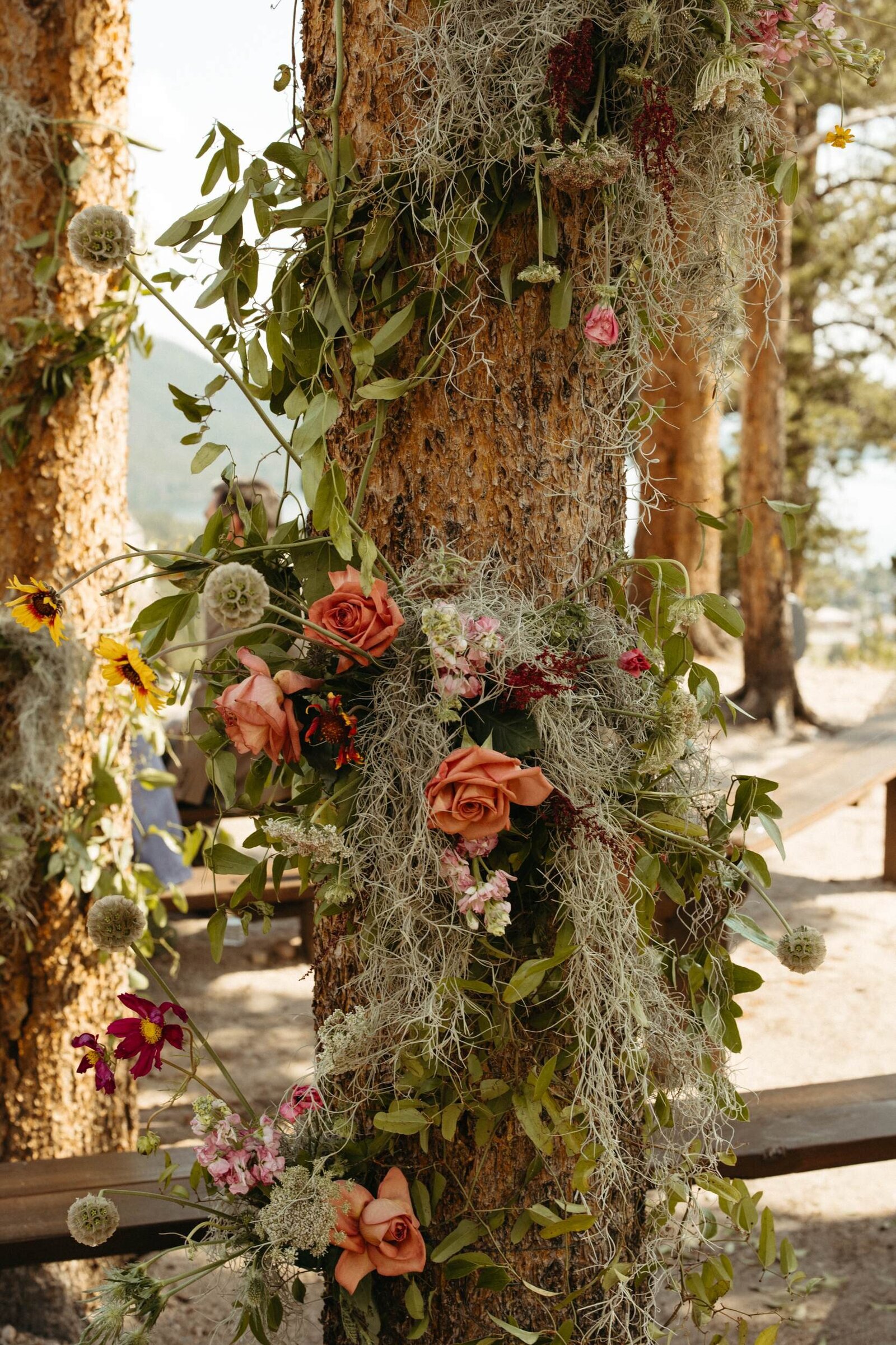Close up of florals and greenery designed to look like they are climbing up the trees in the ceremony space