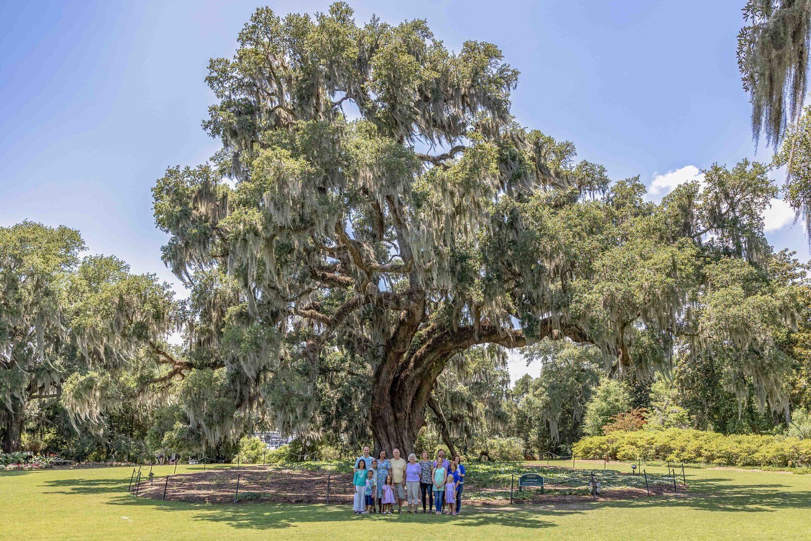 A family stands beneath a large, ancient oak tree draped in Spanish moss. The expansive greenery and bright sky create a majestic setting, perfect for artistic family photography in Wilmington, NC, showcasing natural beauty and family bonds.