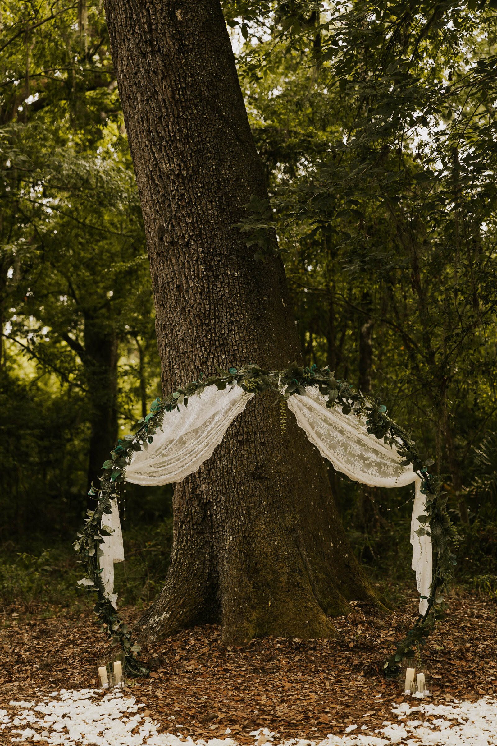 TalieBoylePhoto-15