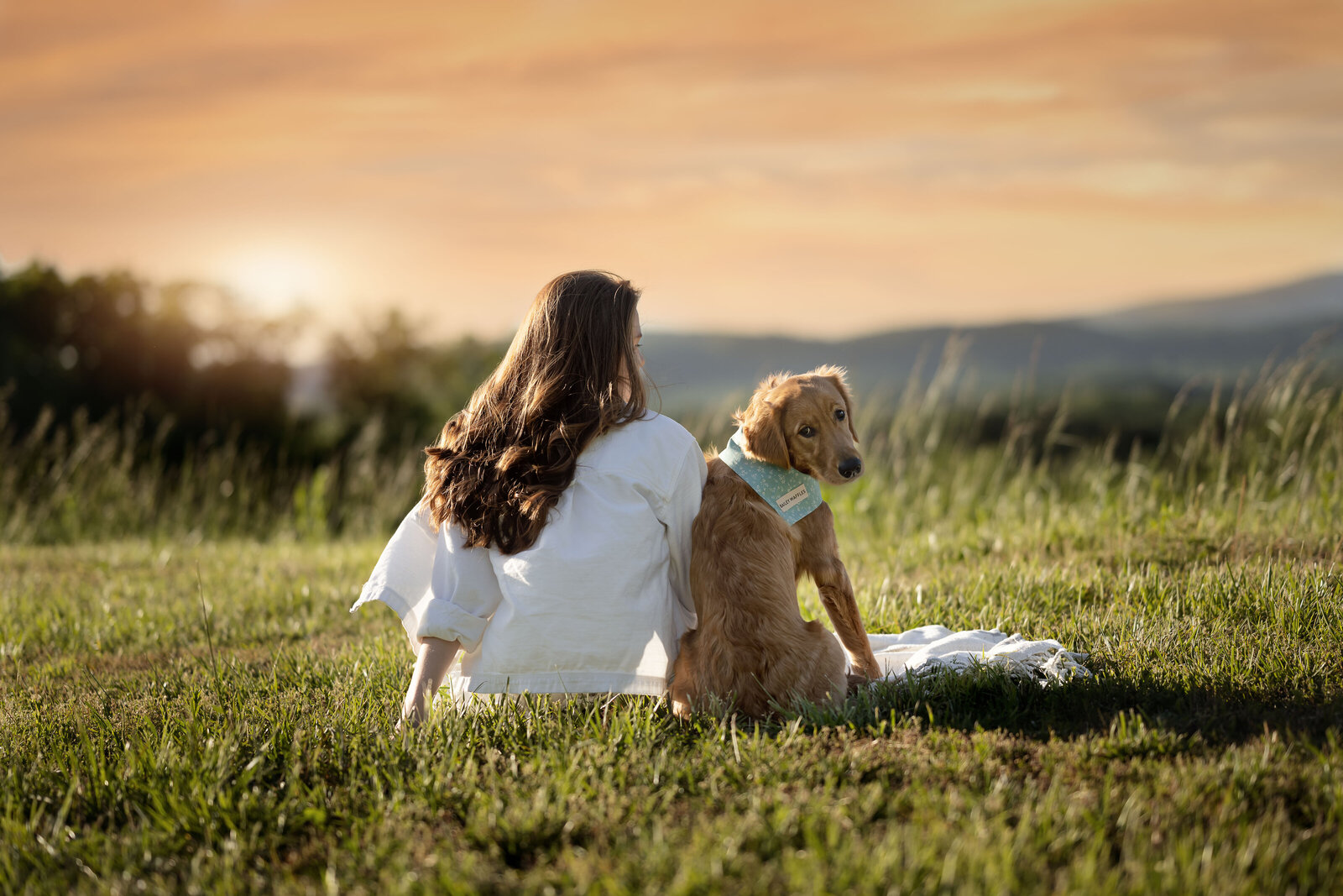 alpharetta photographers