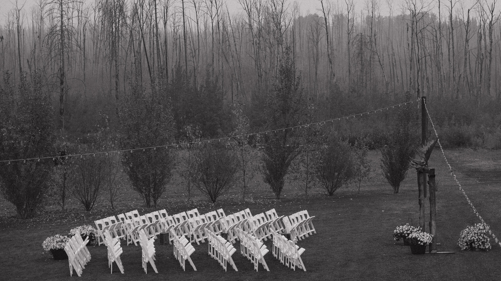 JB Photography - Backyard Wedding-2