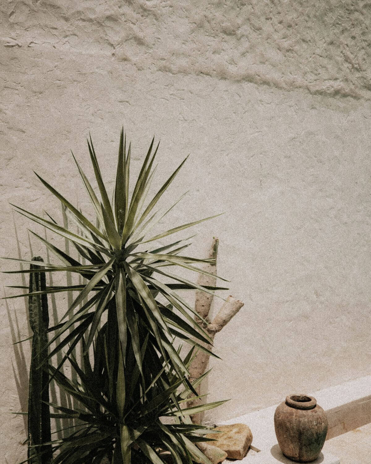 boho-breaze-stock-images-by-the-startup-market-00084