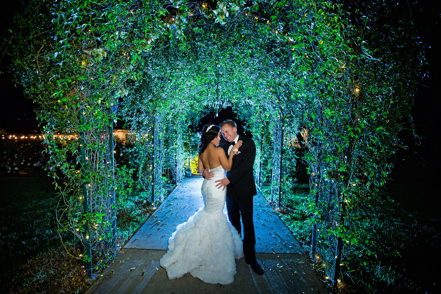 Green Gables wedding photos stunning night shot