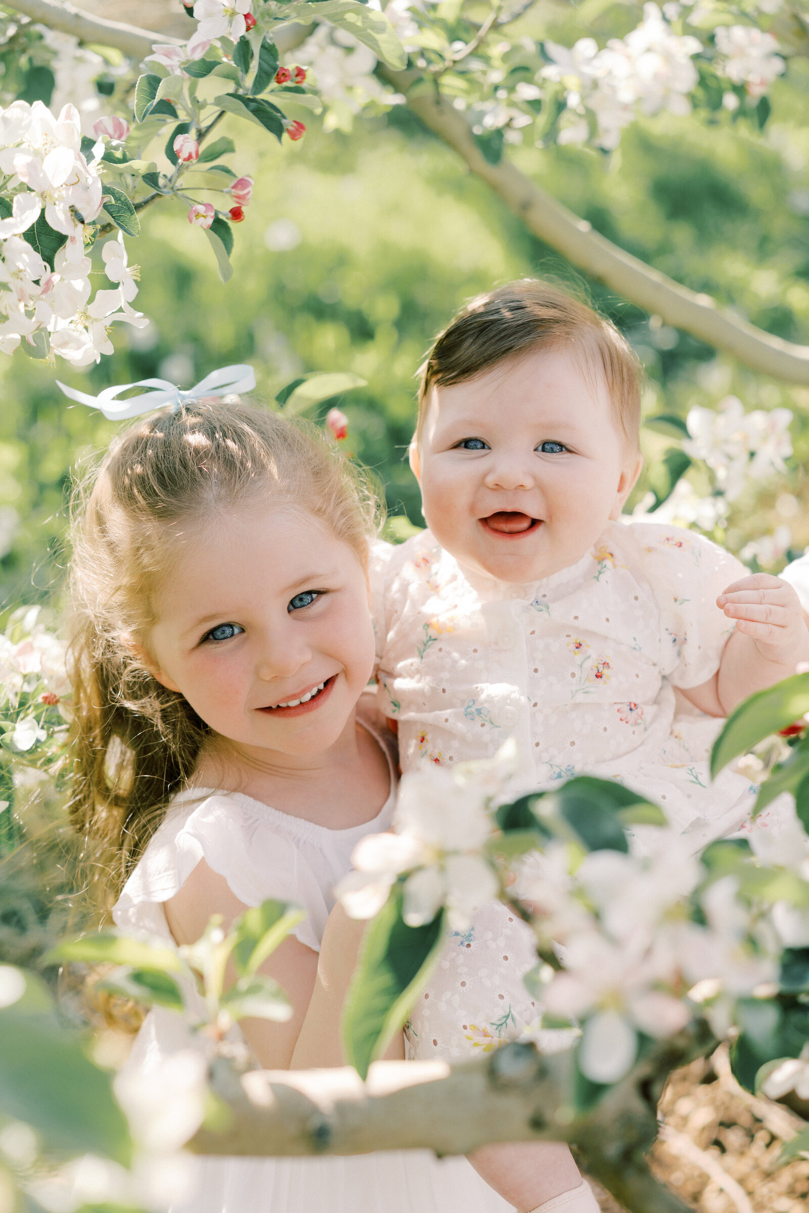 Terri-Lynn Warren Photography_Halifax Photography_Orchard Minis-07809