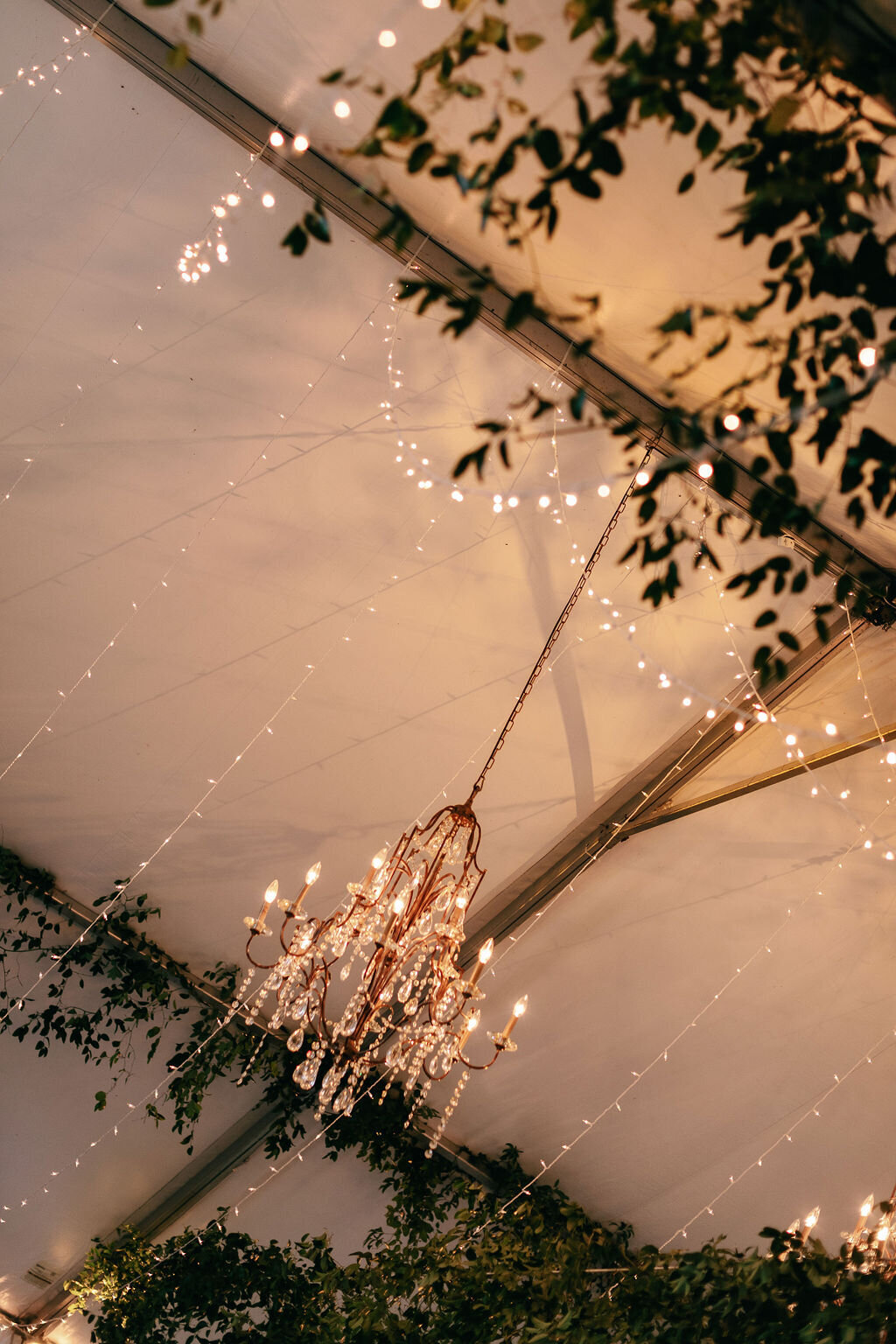 Anna-Wright-Photography-Red-Fox-Inn-Weddings-59