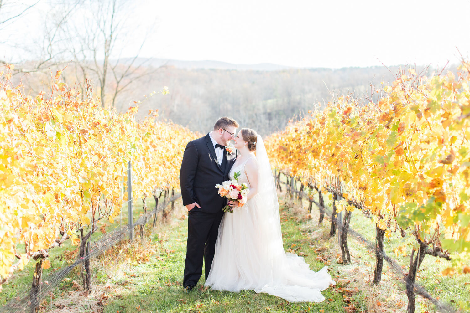 Bride and groom kissing in vineyard during fall wedding
