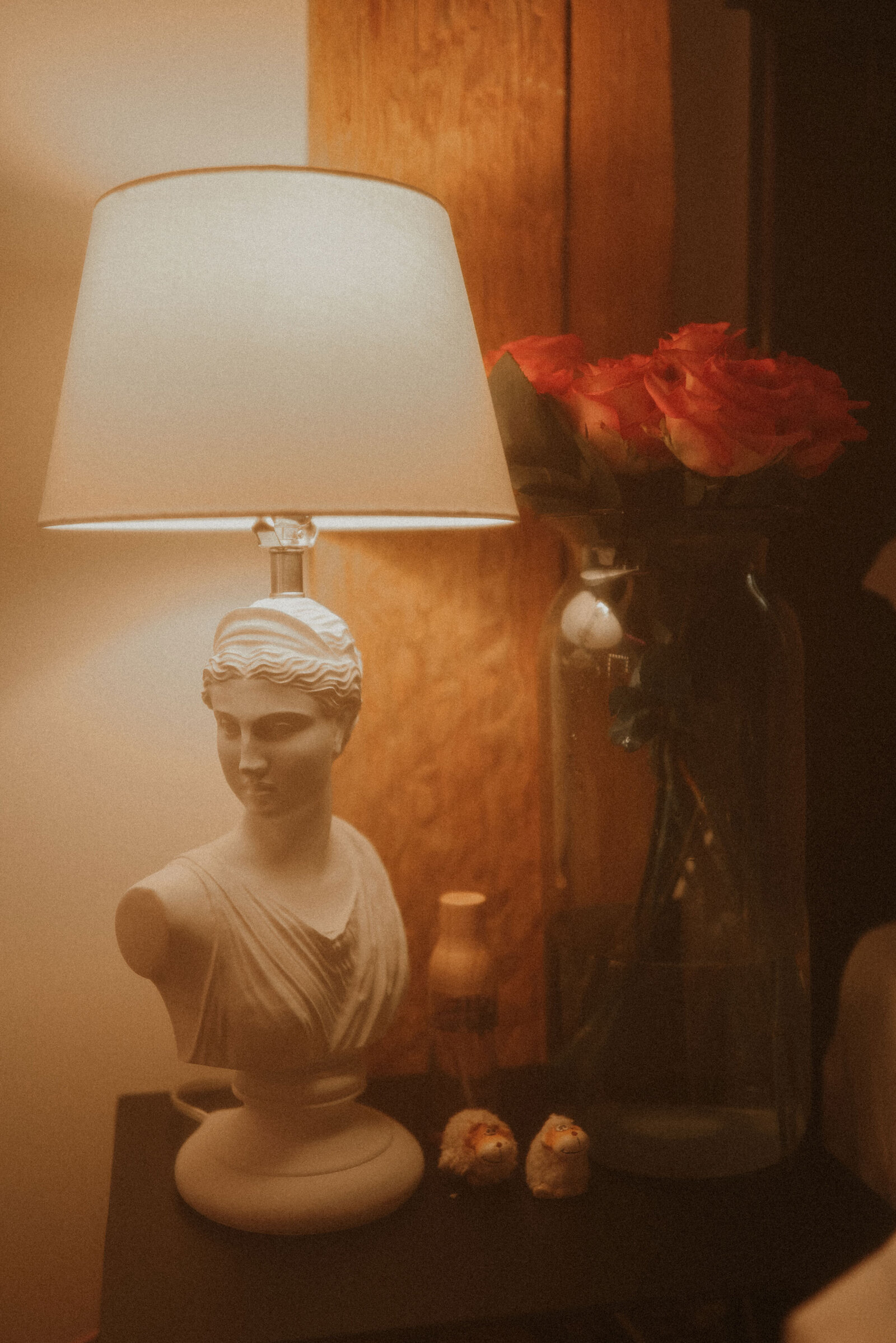 in-home-photographer1