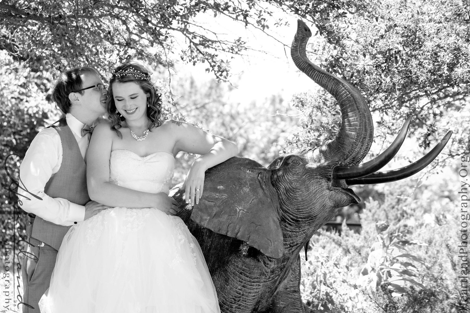web-IMG_2786-BW