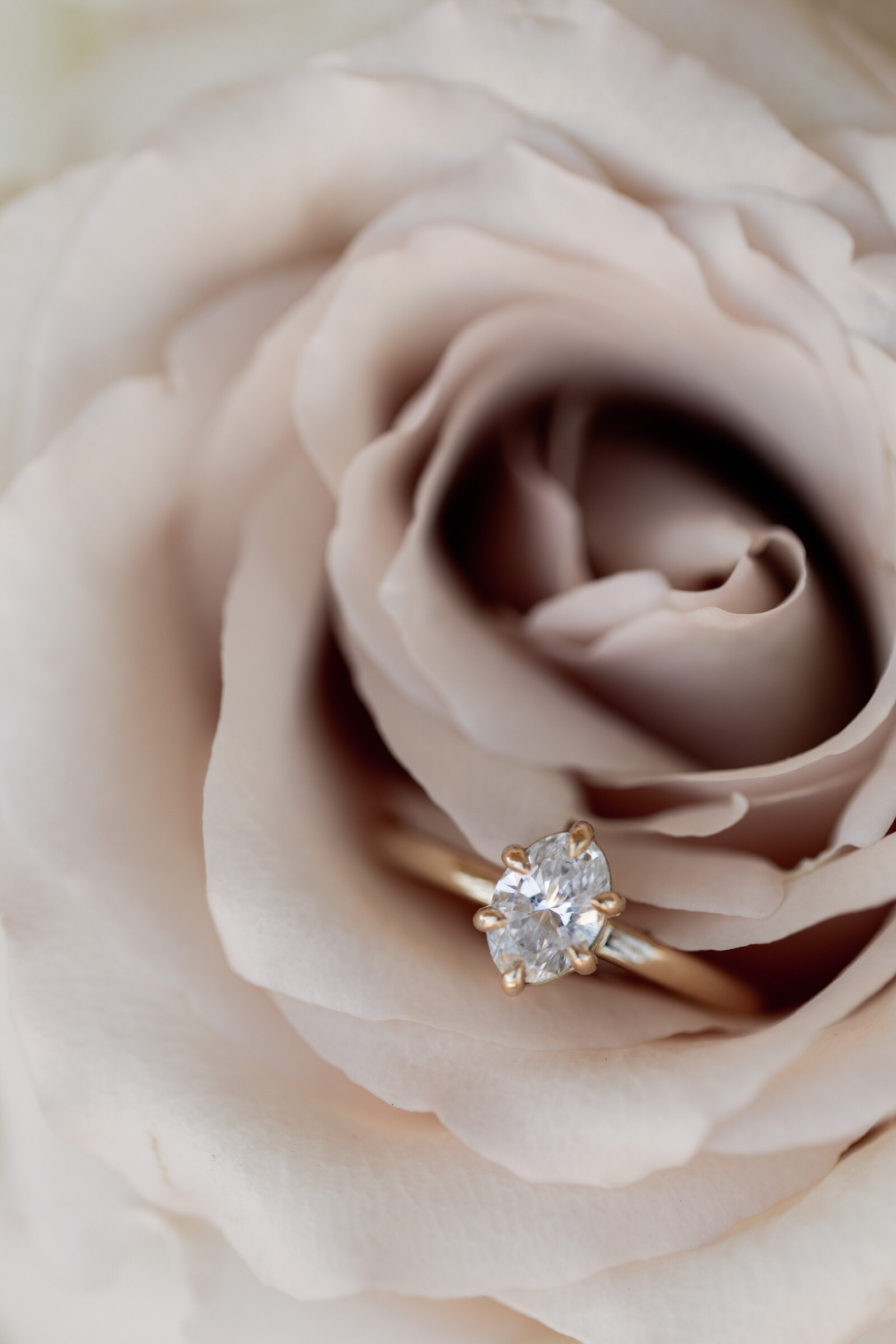 230923-Chelsea-Scott-Rexvil-Photography-Adelaide-Wedding-Photographer-79