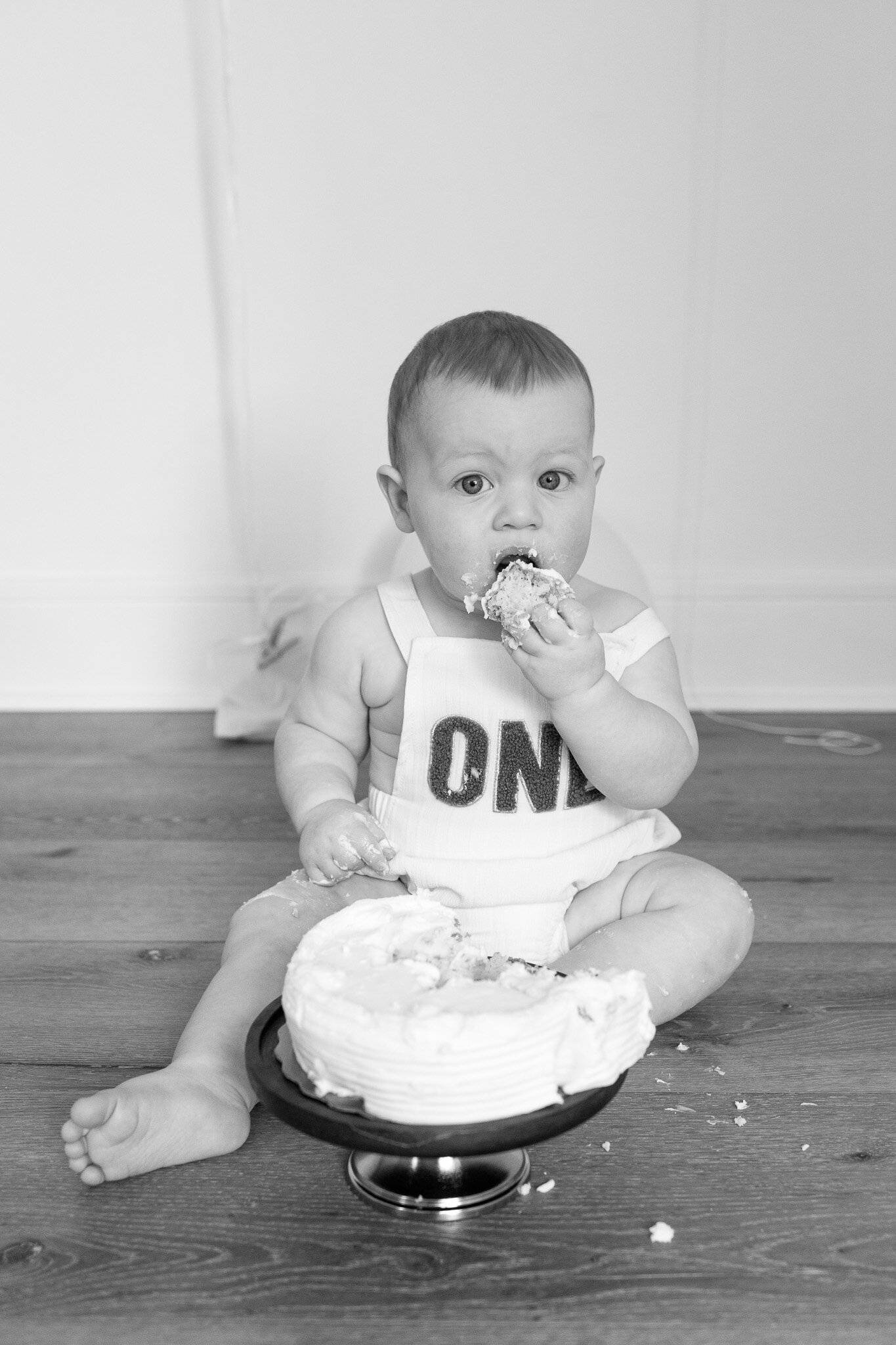 first-birthday-north-carolina-cake-photos (3)