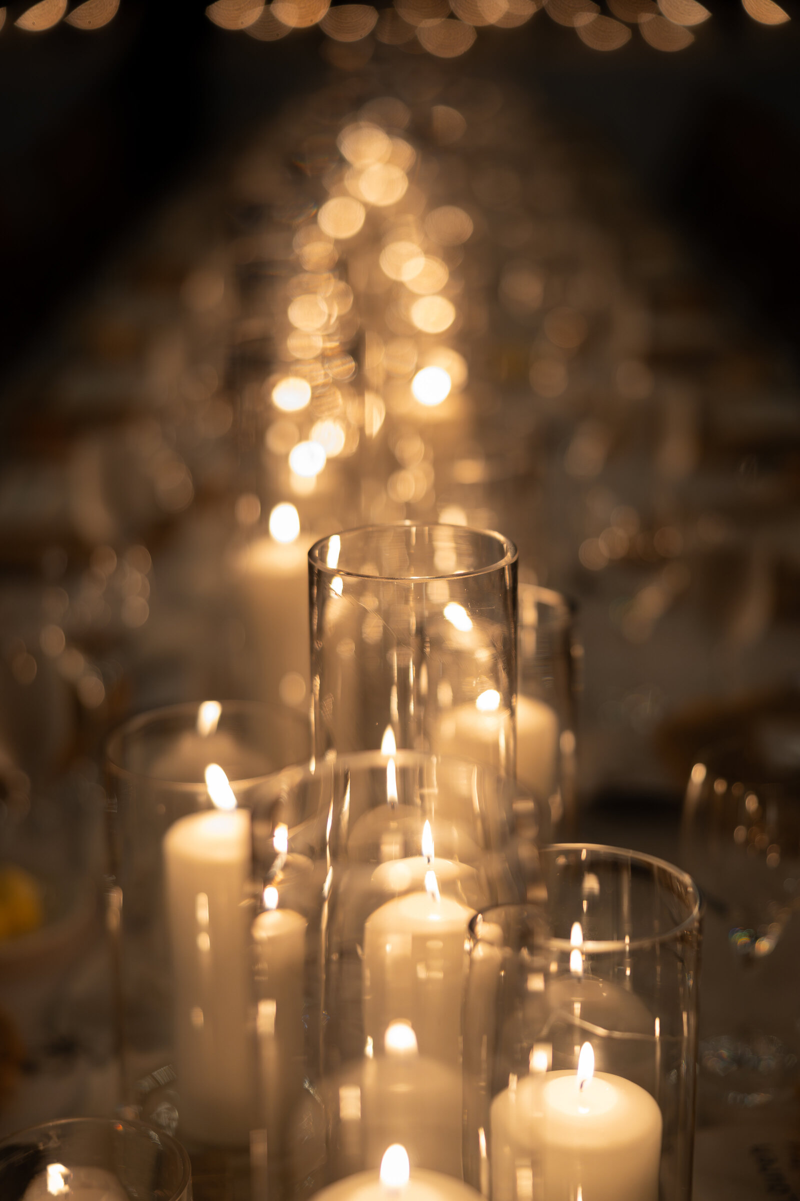 Alison_Chris_Reception-65