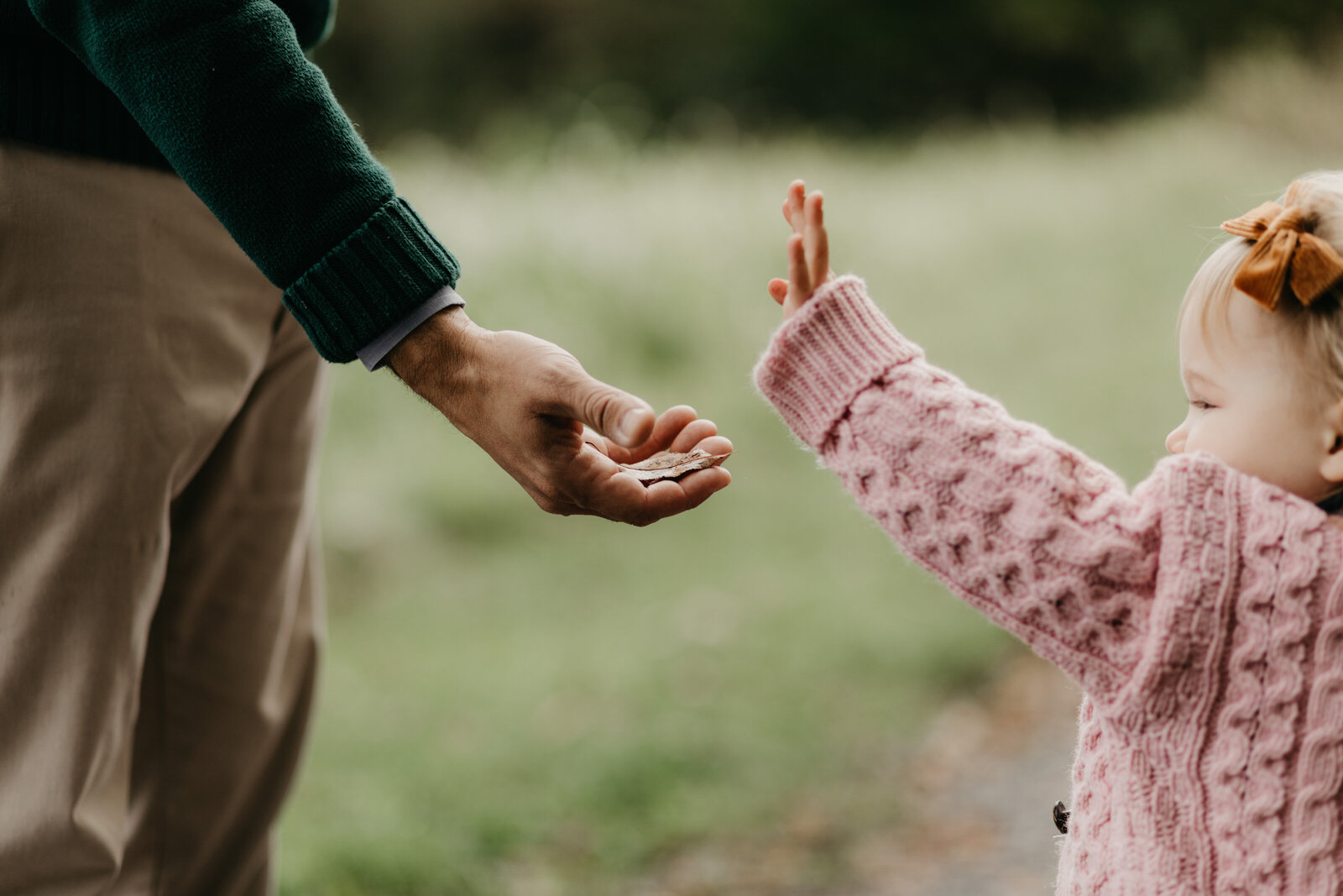 A small child hands a leaf to her father