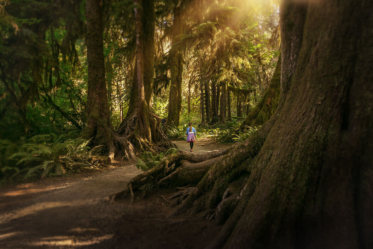 redwoods-national-park-girl-walking-nature-scale-wonder