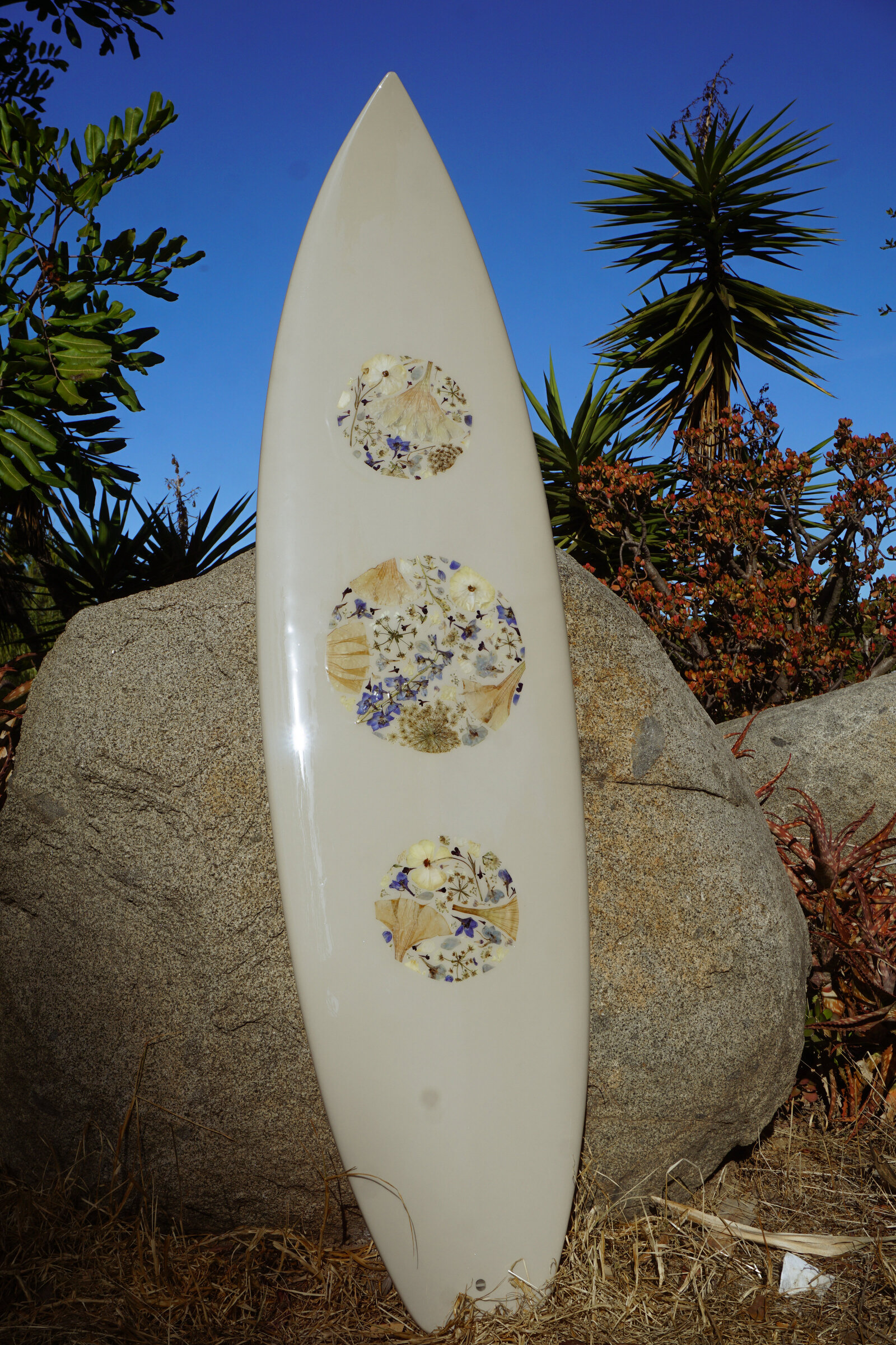 Floral Surfboards  2024-05