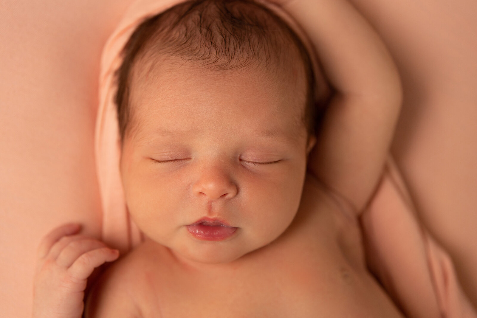 Insley photography newborn picture