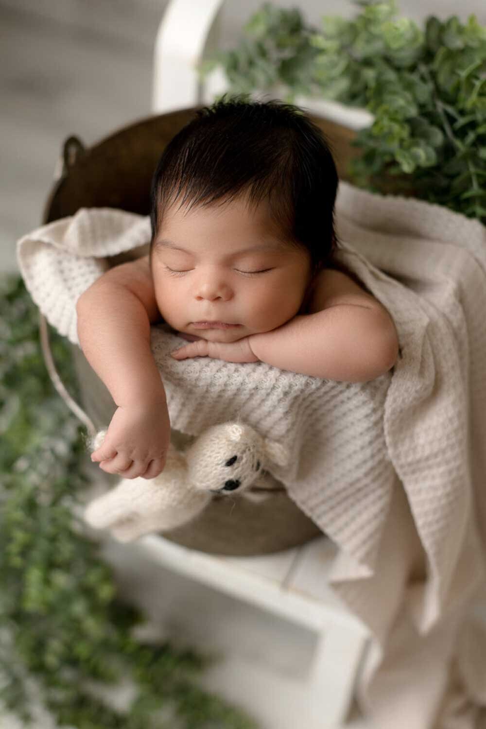 Liz Viernes newborn photography Columbia md