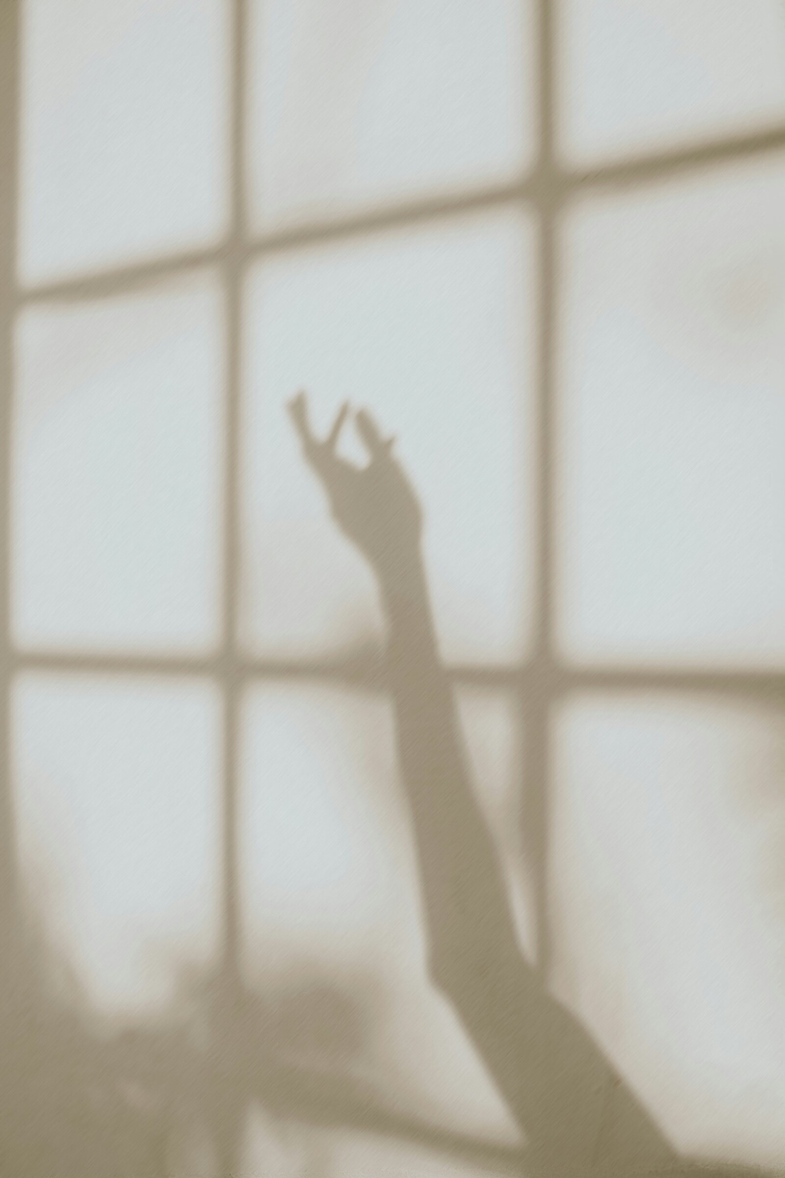 agnieszka-stankiewicz-Hk2uwW2bZEk-unsplash