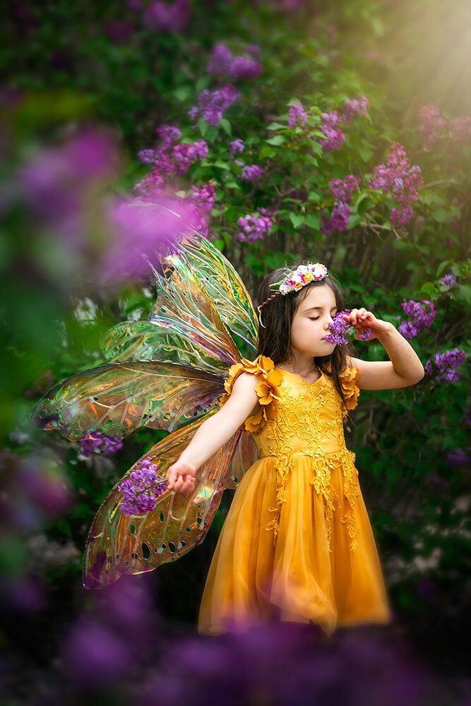 lilac-farm-fairy-best-fine-art-children-boulder-denver-farm-fairytale-lilac