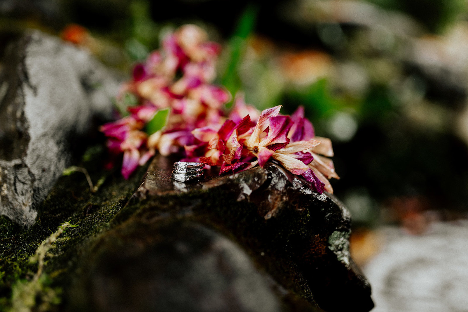 Oahu Hawaii wedding photos by Fort Collins photographer, picture of rings with flowers.