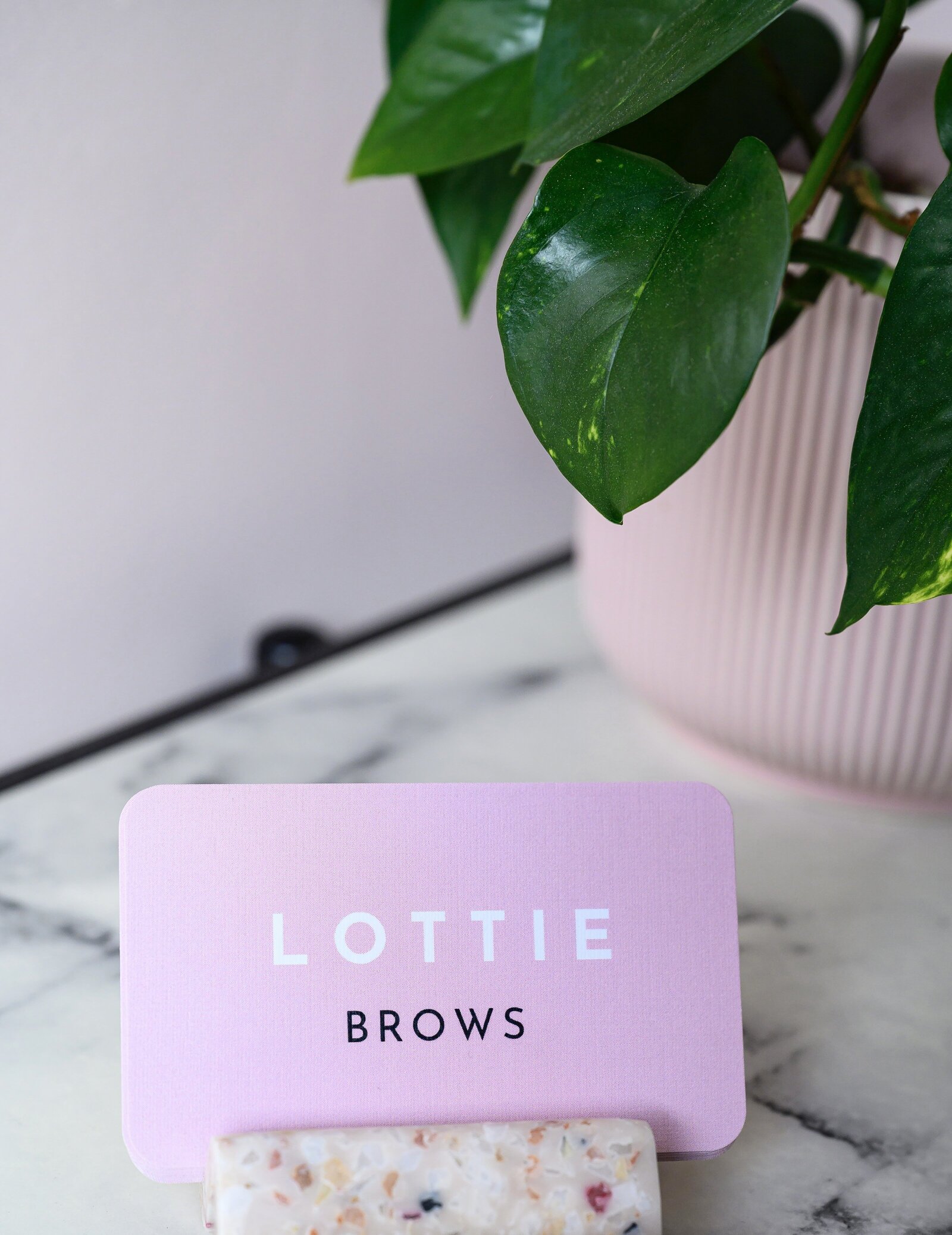 Pink Lottie Brows