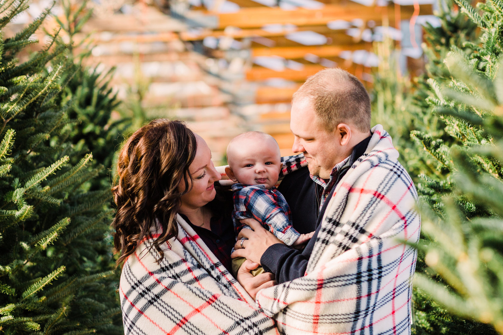 Vance-Christmas-Daniels-Farm-Jackelynn-Noel-Photography-7