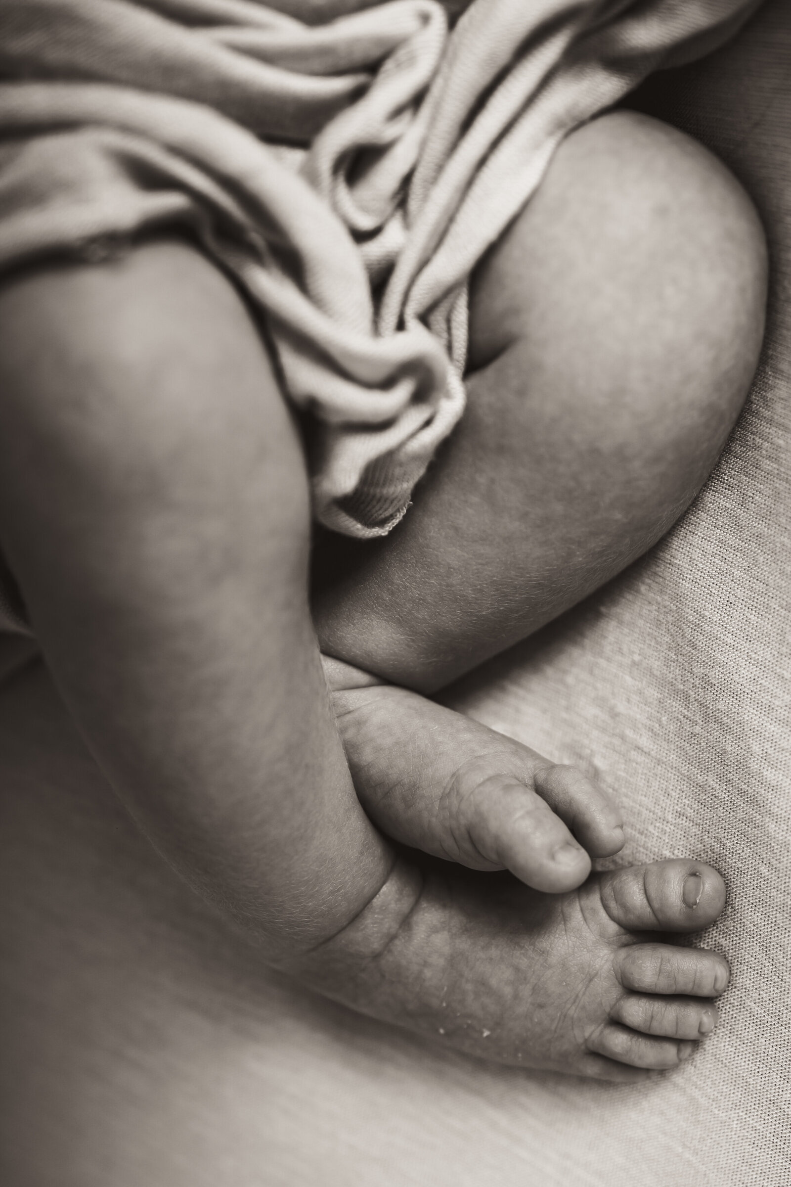newbornphotosindy-01
