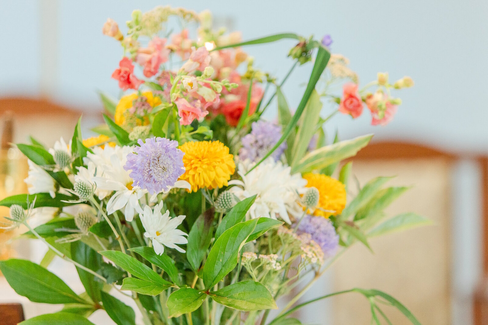 20240622-Phelps Hathaway House Wedding-Suffield CT-Gina Ben-00-WEBSITE-002