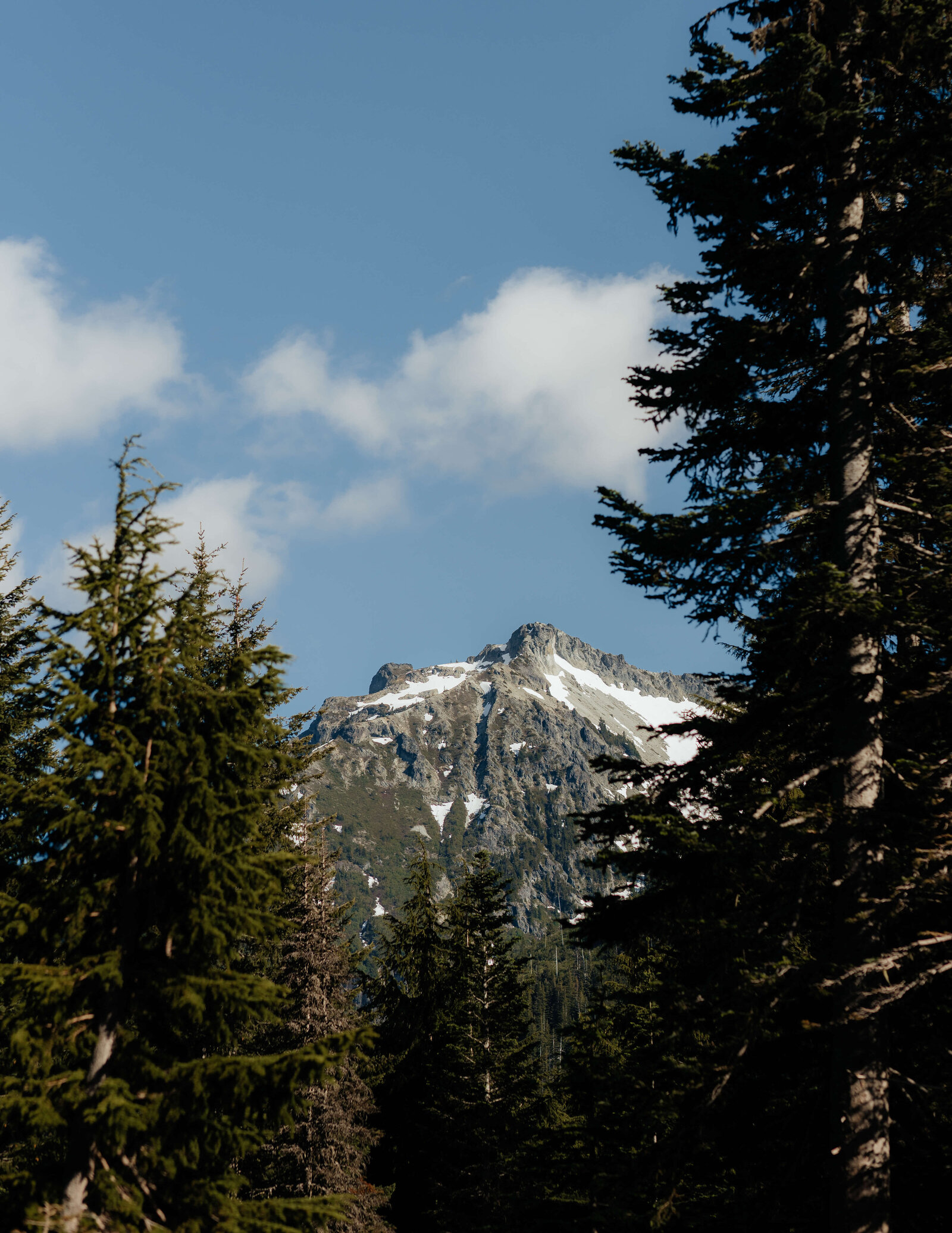 Mt. Rainier 12