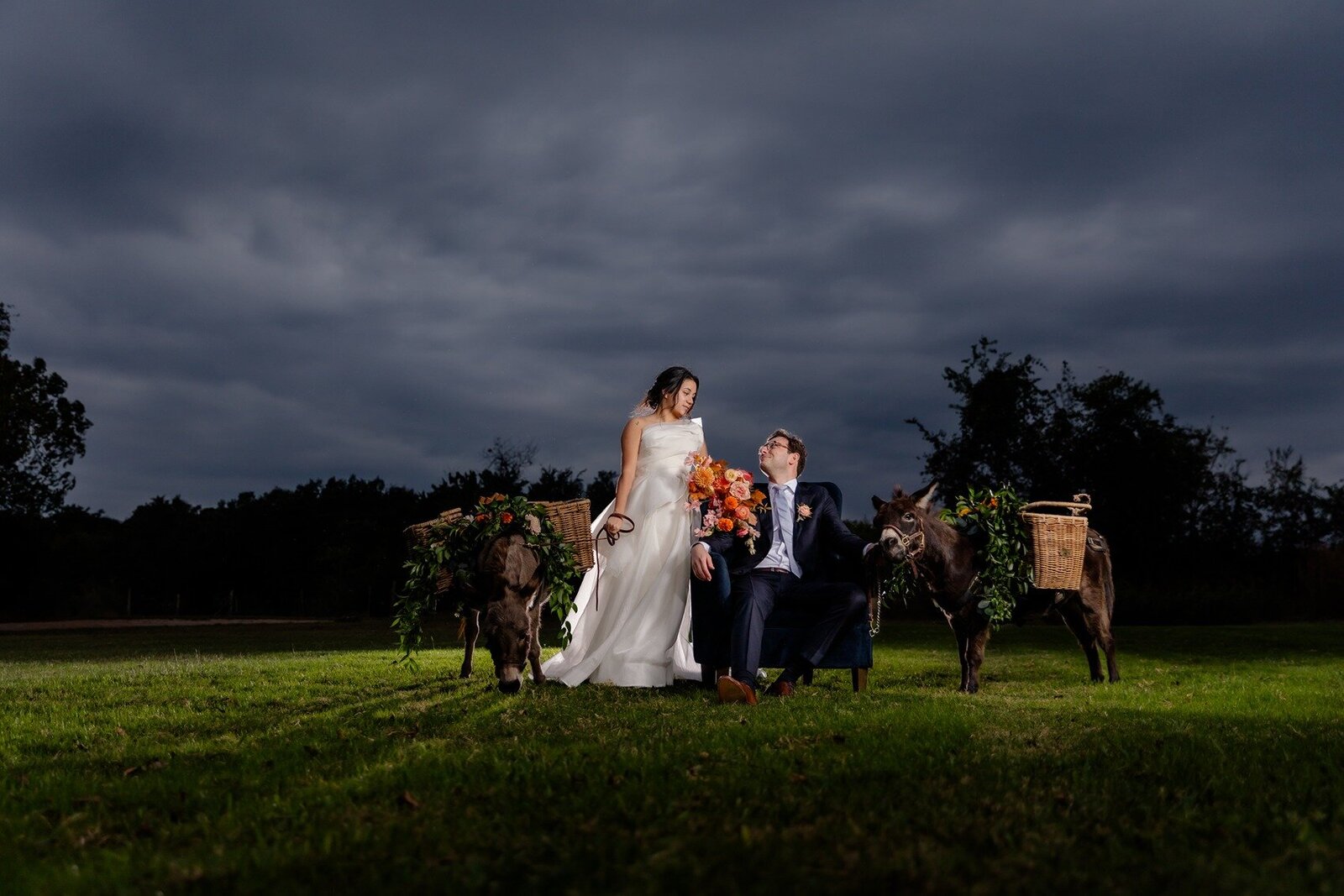 night-donkeys-and-wedding-couple
