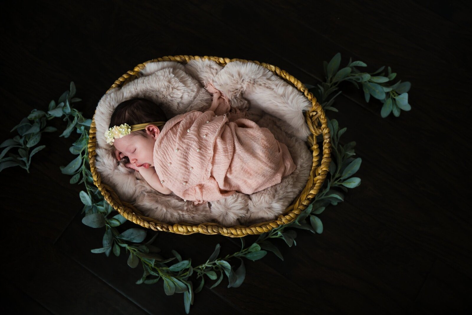 Olivia_Newborn--4jcollins