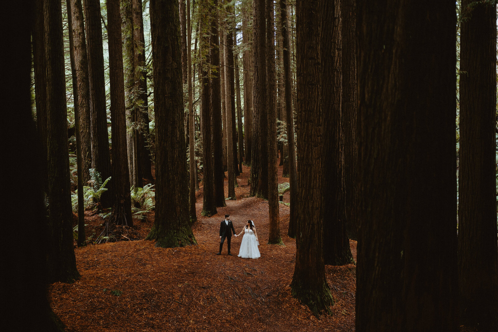 2023-04-21 Ella + Koby Wedding Otways Redwoods Bootsmaker Cottage Birregurra Daisy + Pine Sneak Peeks-024