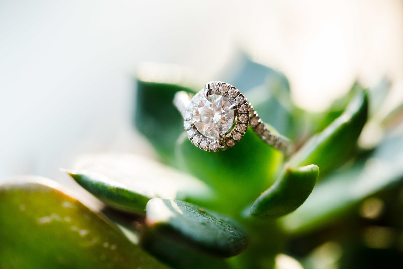 Engagement_AmyAndrae-66